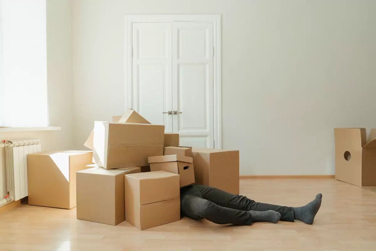 Gepackte Kartons stehen in einer frisch geräumten Wohnung